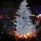 Accensione luminarie a Pesaro #Natale #luci in piazza del popolo