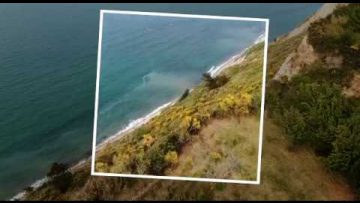 [ID: dZfYjGn9hqY] Youtube Automatic